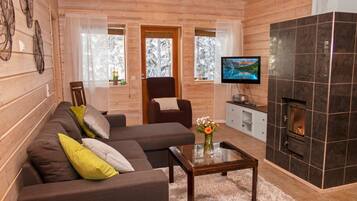 Televisio, DVD-soitin