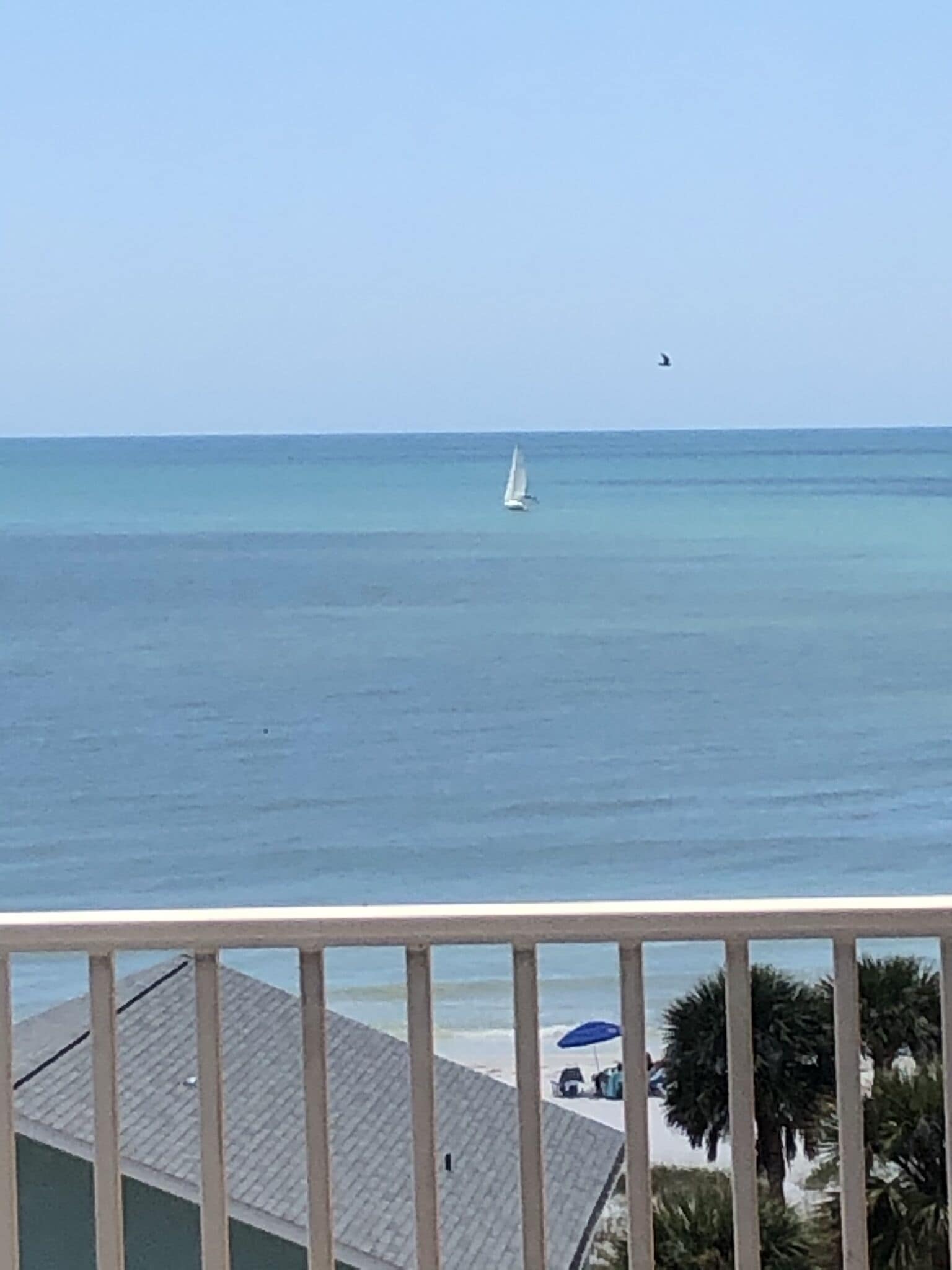 Sea La Vie at San Remo