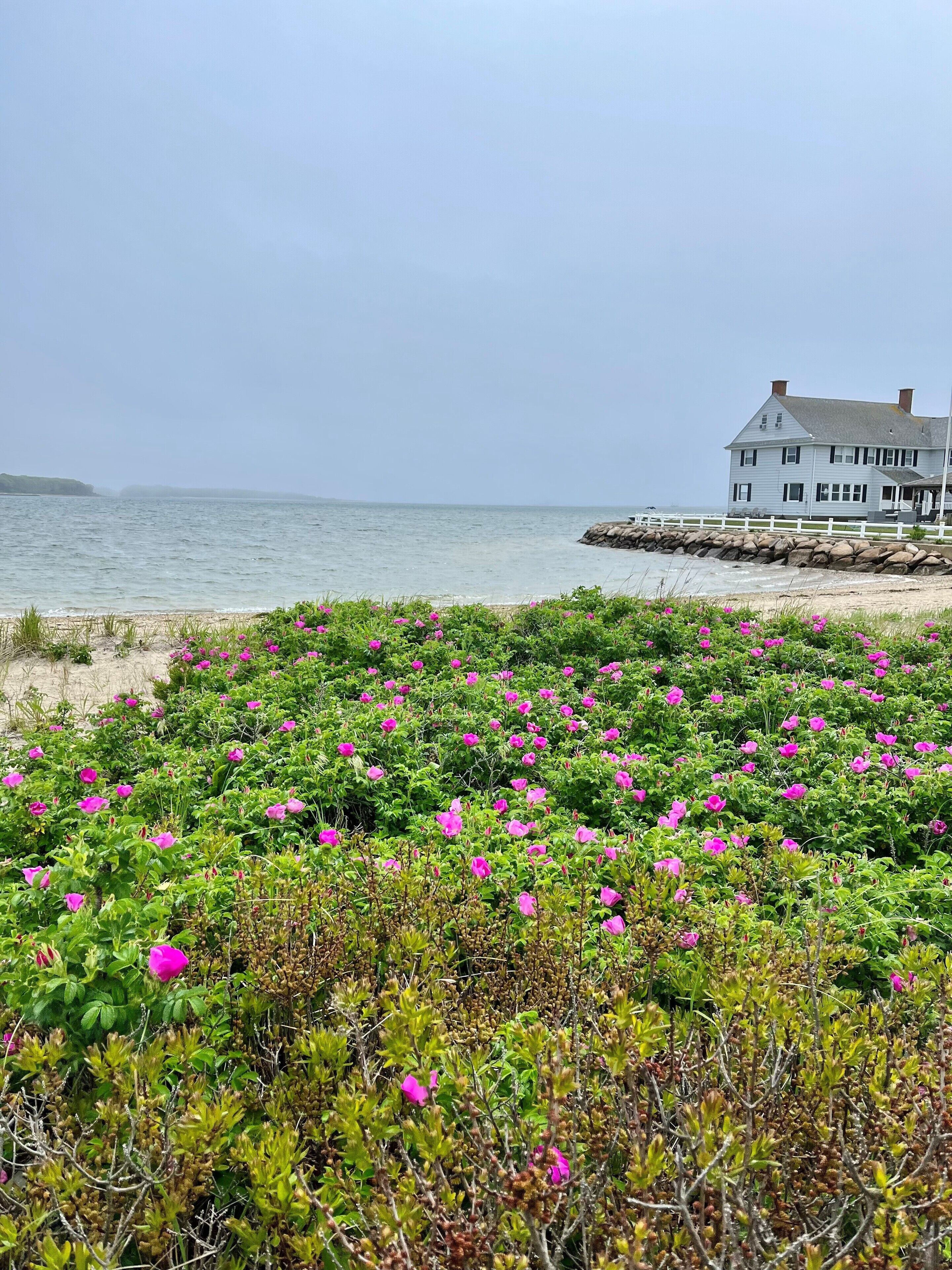 Beach nearby, sun-loungers