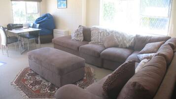 Smart TV, Netflix, DVD player, books