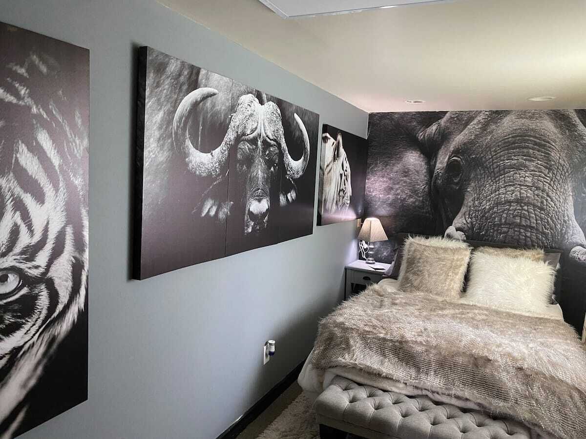 5 多间卧室、熨斗/熨衣板、WiFi、床单