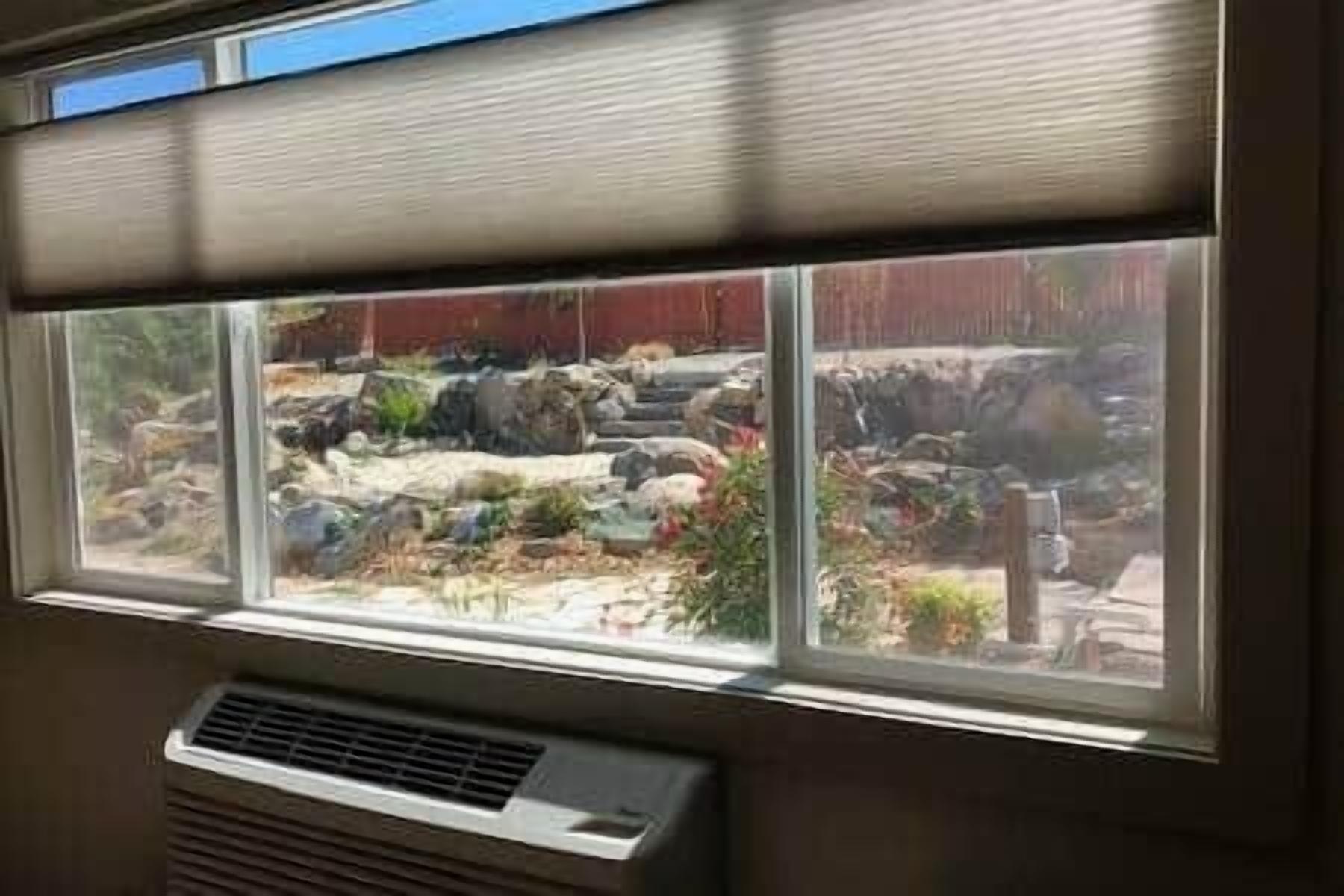 Ventana con vista a un jardín ajardinado.