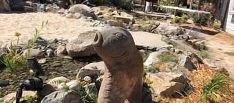 Ideal 4 Groups Near Yuba River/Bullards Bar Lake