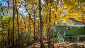 A forest with a green building surrounded by trees with autumn leaves. - Tree House in Center of Helen (Helen)