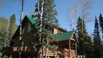 Une cabane en rondins surmontée d’un toit végétalisé, entourée d’arbres.