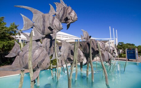 A pool with a sculpture of fish.