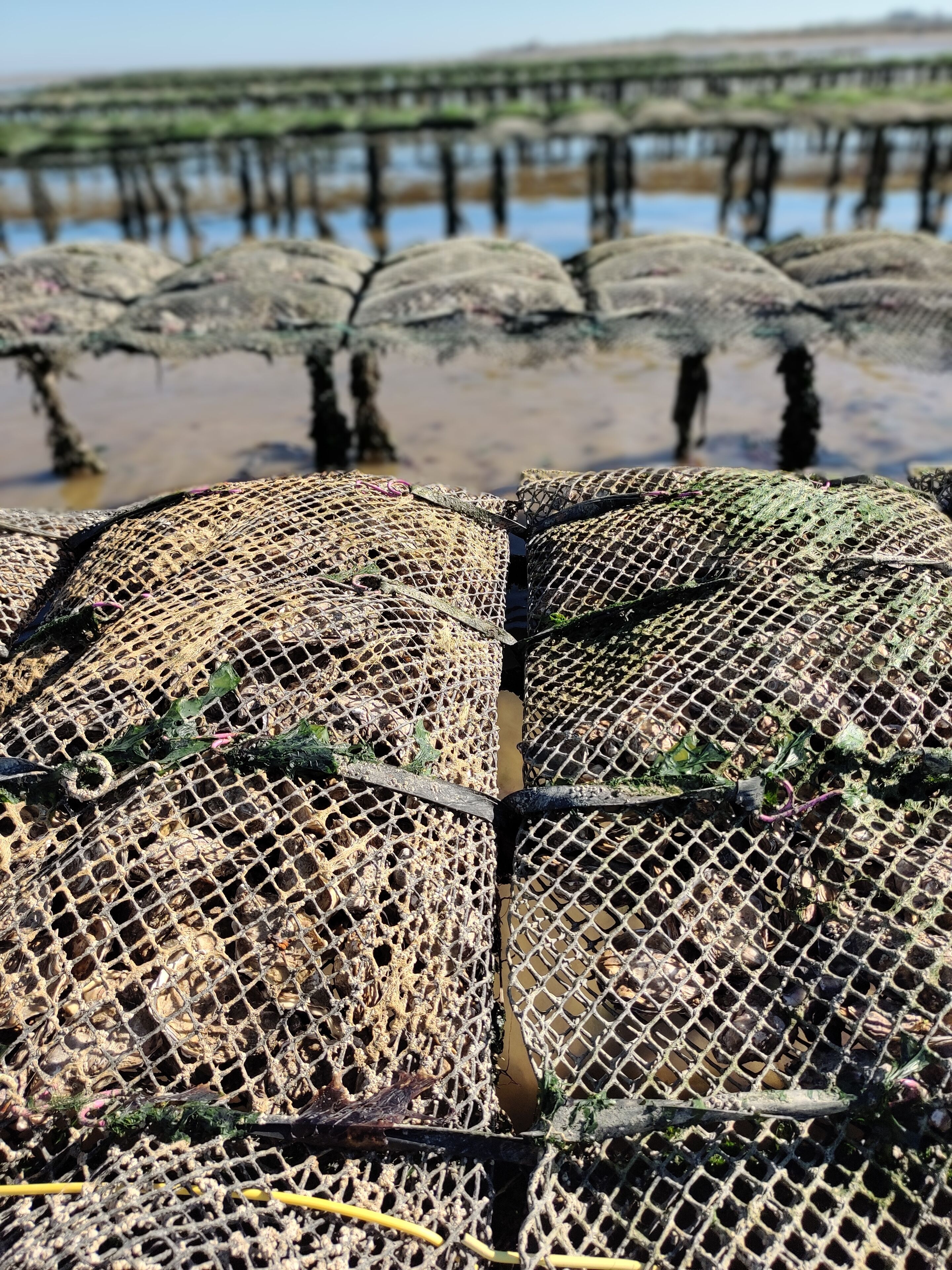 A close-up of a fishing net with a wooden structure in the background.