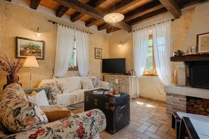 TV, fireplace, DVD player