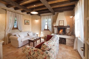 TV, fireplace, DVD player - Villa Gelci (Trget)