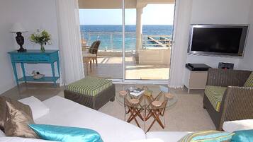 Télévision, lecteur de DVD, livres, vidéothÚque