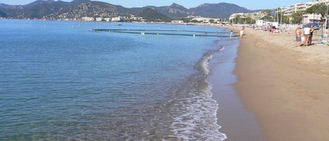 Plage à proximité