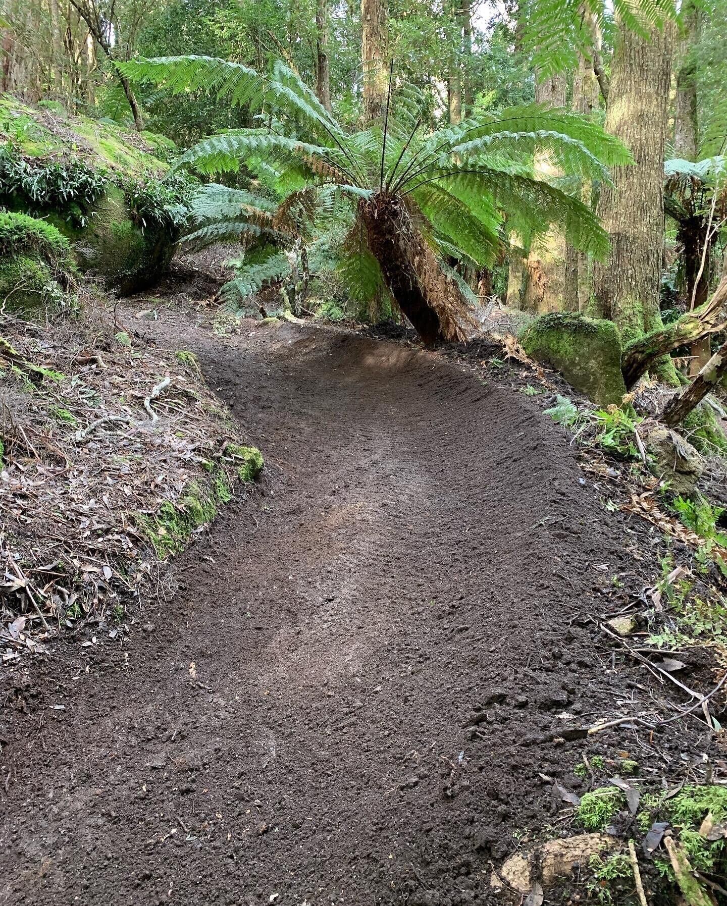 Branxholm Lodge 2-12 people only 8km from Derby  — image 16