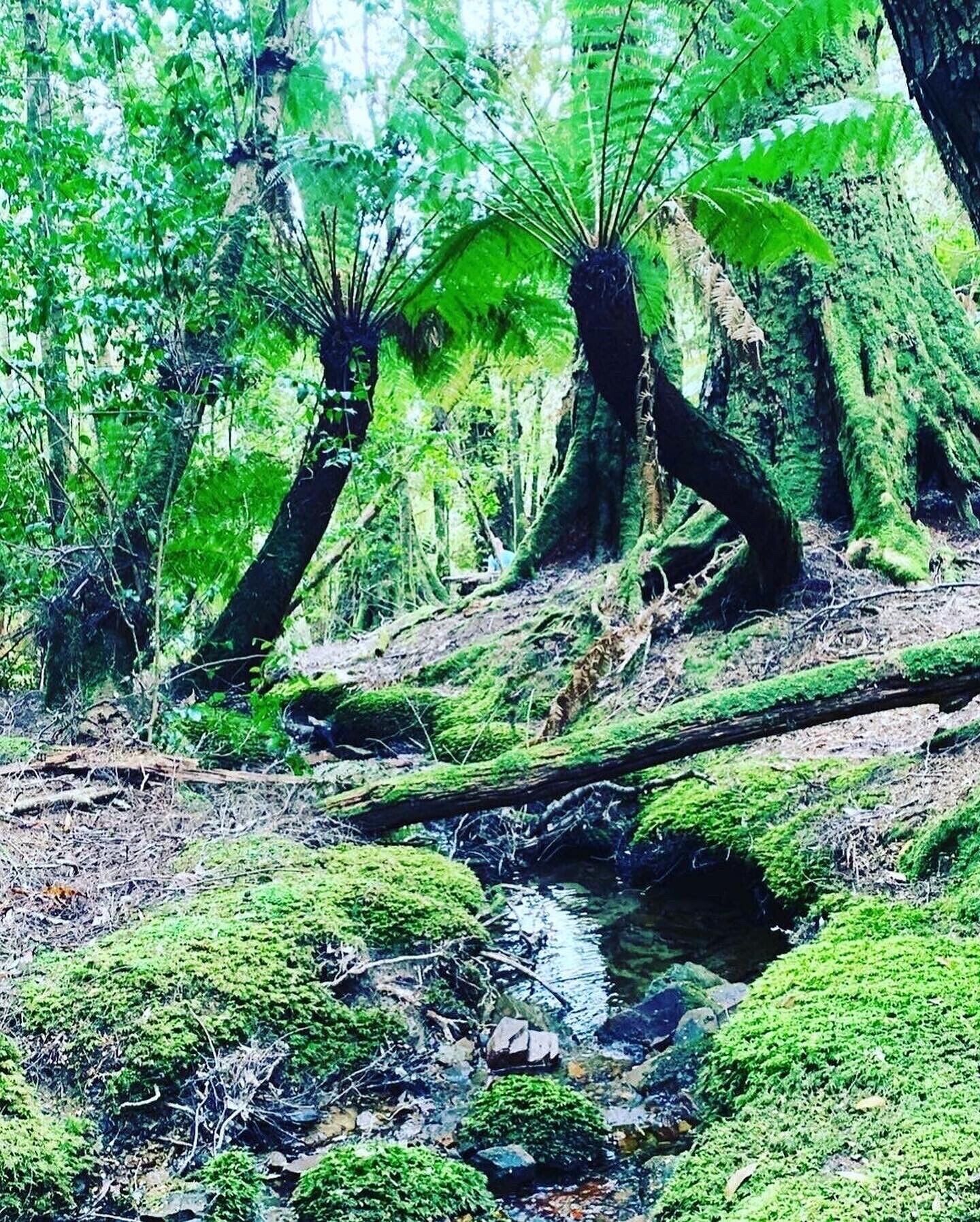 Branxholm Lodge 2-12 people only 8km from Derby  — image 15