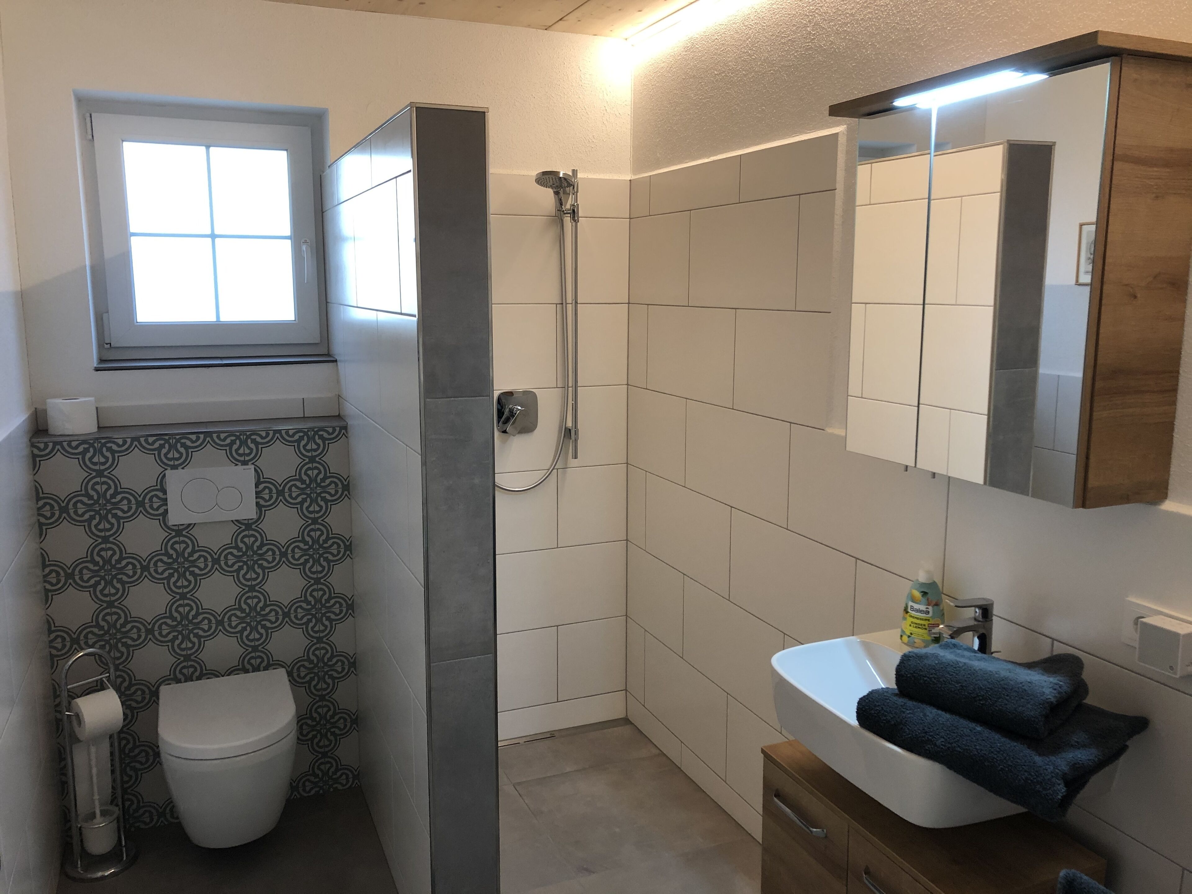 Shower, towels, soap, toilet paper