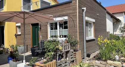 Cozy barrier-free FEWO in new building directly between vineyards and the Main river