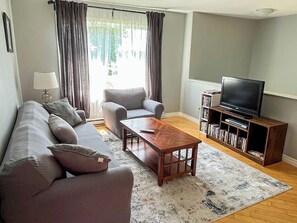 TV connectée, cheminée, lecteur de DVD