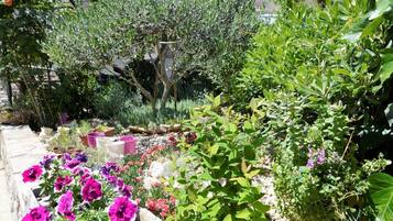 Apartment | Property grounds