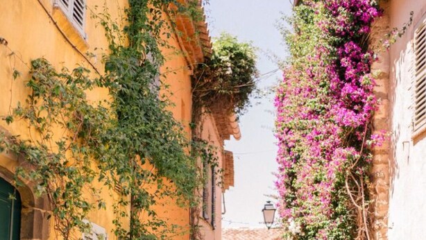 Eine enge Straße, gesäumt von Gebäuden, manche mit Ranken und Blumen.