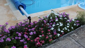 A swimming pool with a blue hose, surrounded by a flower bed with pink and white flowers.