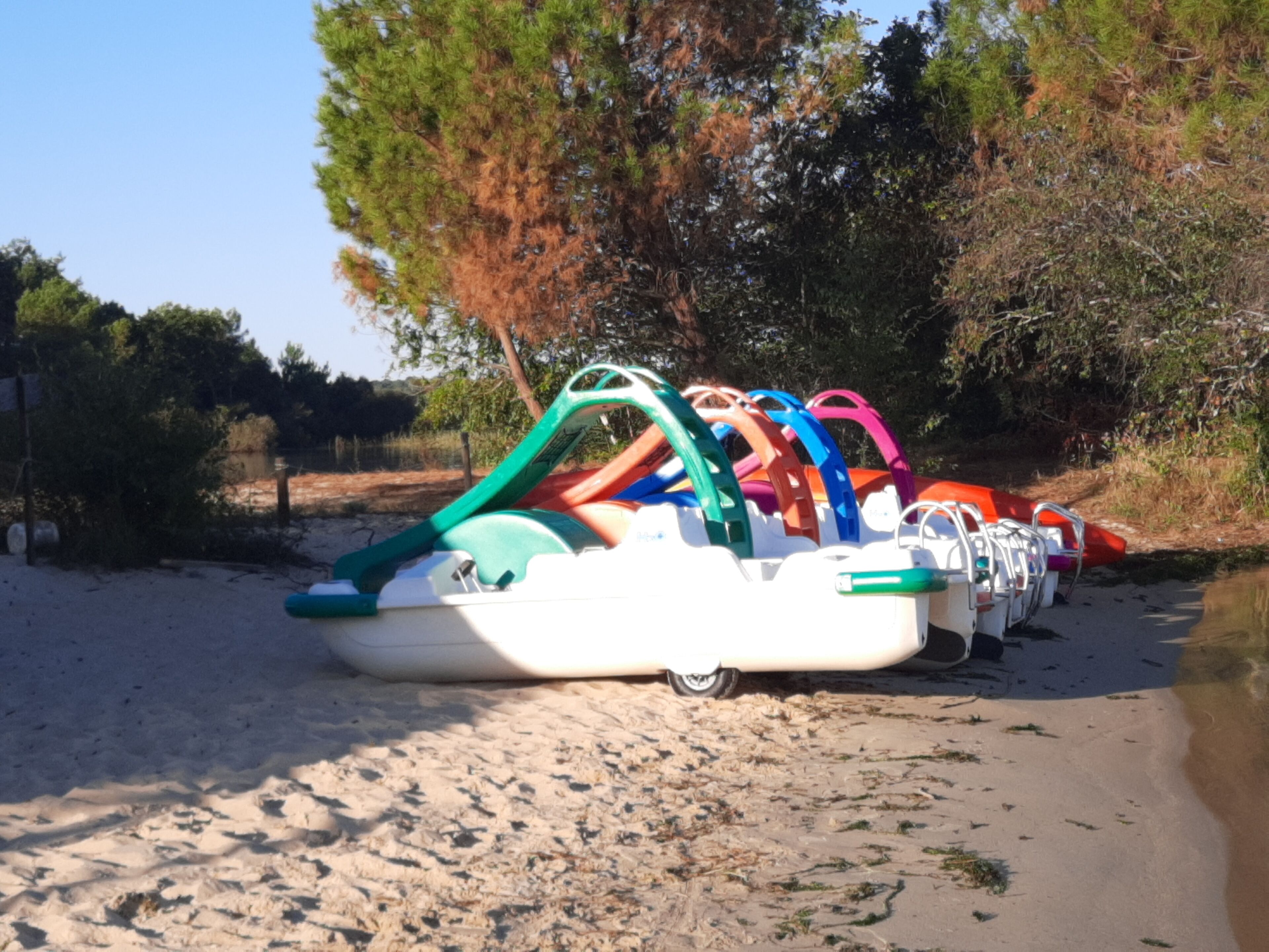 Une rangée de pédalos aux couleurs vives était alignée sur une plage de sable, avec des arbres en arrière-plan.