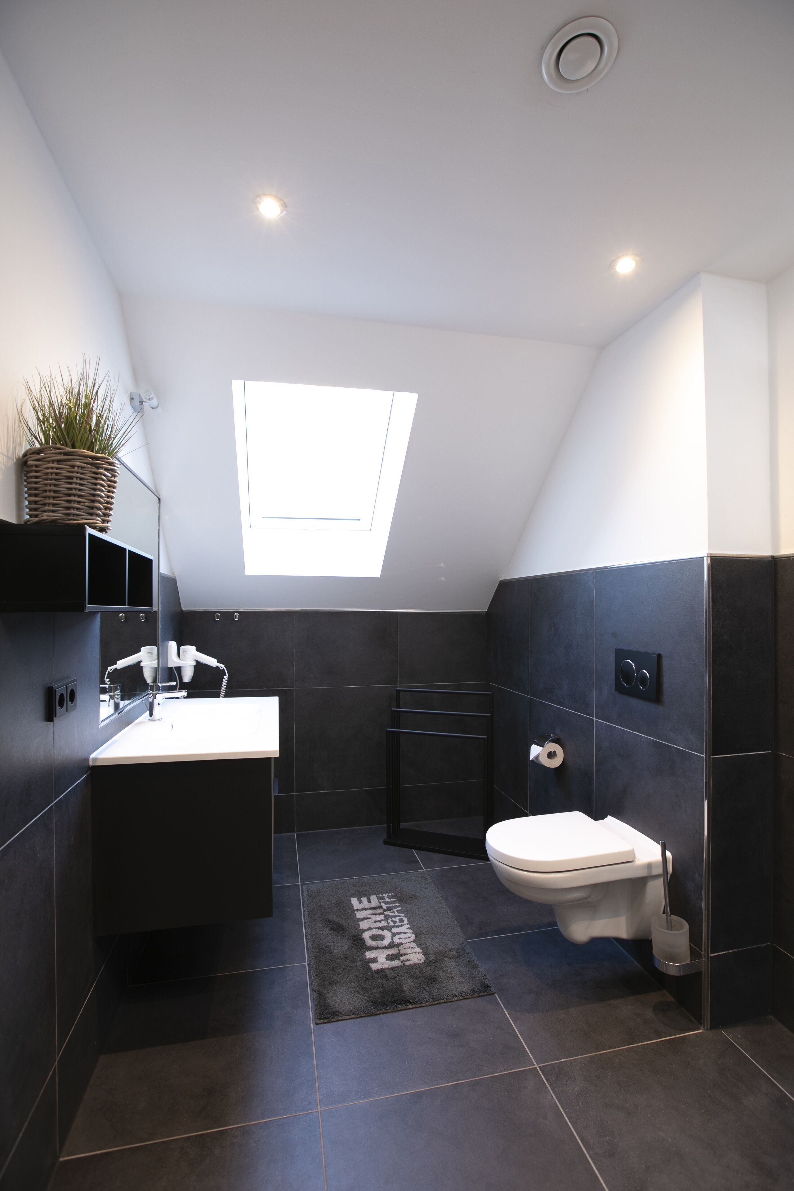 Un bagno moderno con un lucernario, piastrelle scure, un lavandino bianco e un water.