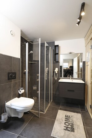 Shower, hair dryer, soap, toilet paper
