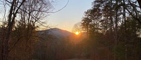 Un sendero en el bosque que lleva a una montaña, con el sol poniéndose al fondo.