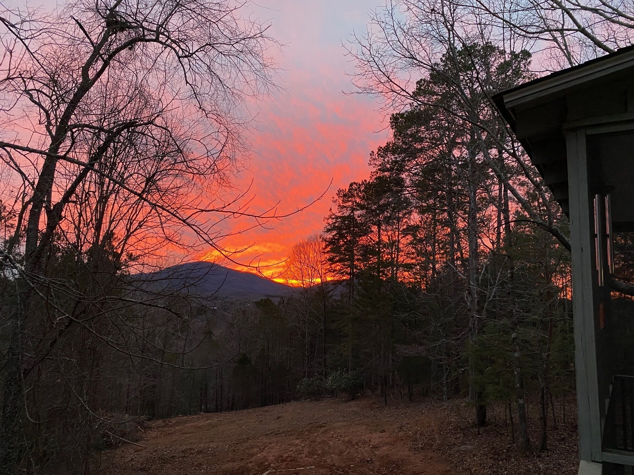 A forested area with a dirt path leading towards a mountain, and a building with a sloped roof in the foreground.