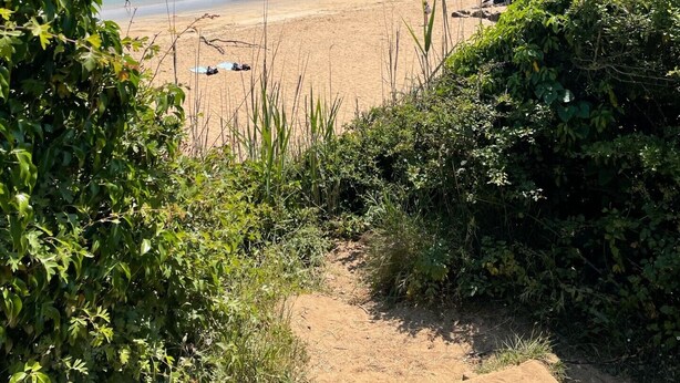 A beach with a rocky cliff and greenery in the foreground.
