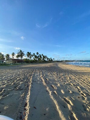 Plage, chaises longues, serviettes de plage
