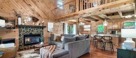 TV, fireplace, video games, books