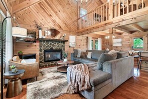 TV, fireplace, video games, books