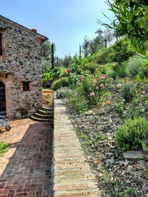 Property grounds - Villa Pera by Nicola Real Estate (Corsanico)