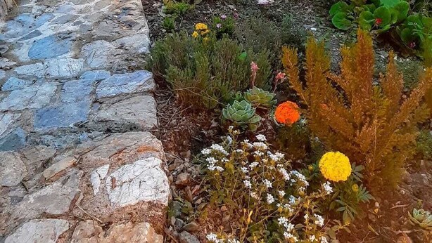 A stone building with a stone pathway leading to a garden with various plants and flowers. - Villa Pera by Nicola Real Estate (Corsanico)