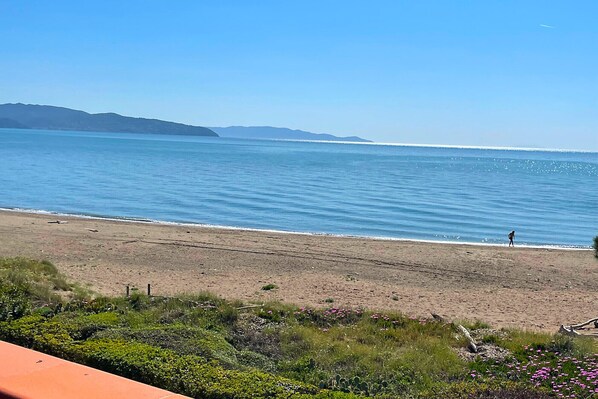 Beach nearby - Appartamento Germoglio (Albinia)