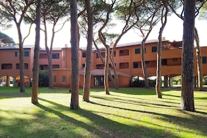 Exterior - Appartamento Germoglio (Albinia)