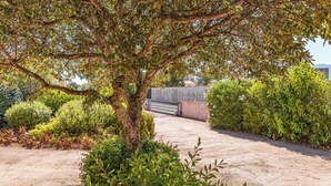 A tree-lined pathway with a gravel surface, surrounded by various shrubs and a fence in the background. - Villa Calyaunati Di San Ciprianu (Lecci)