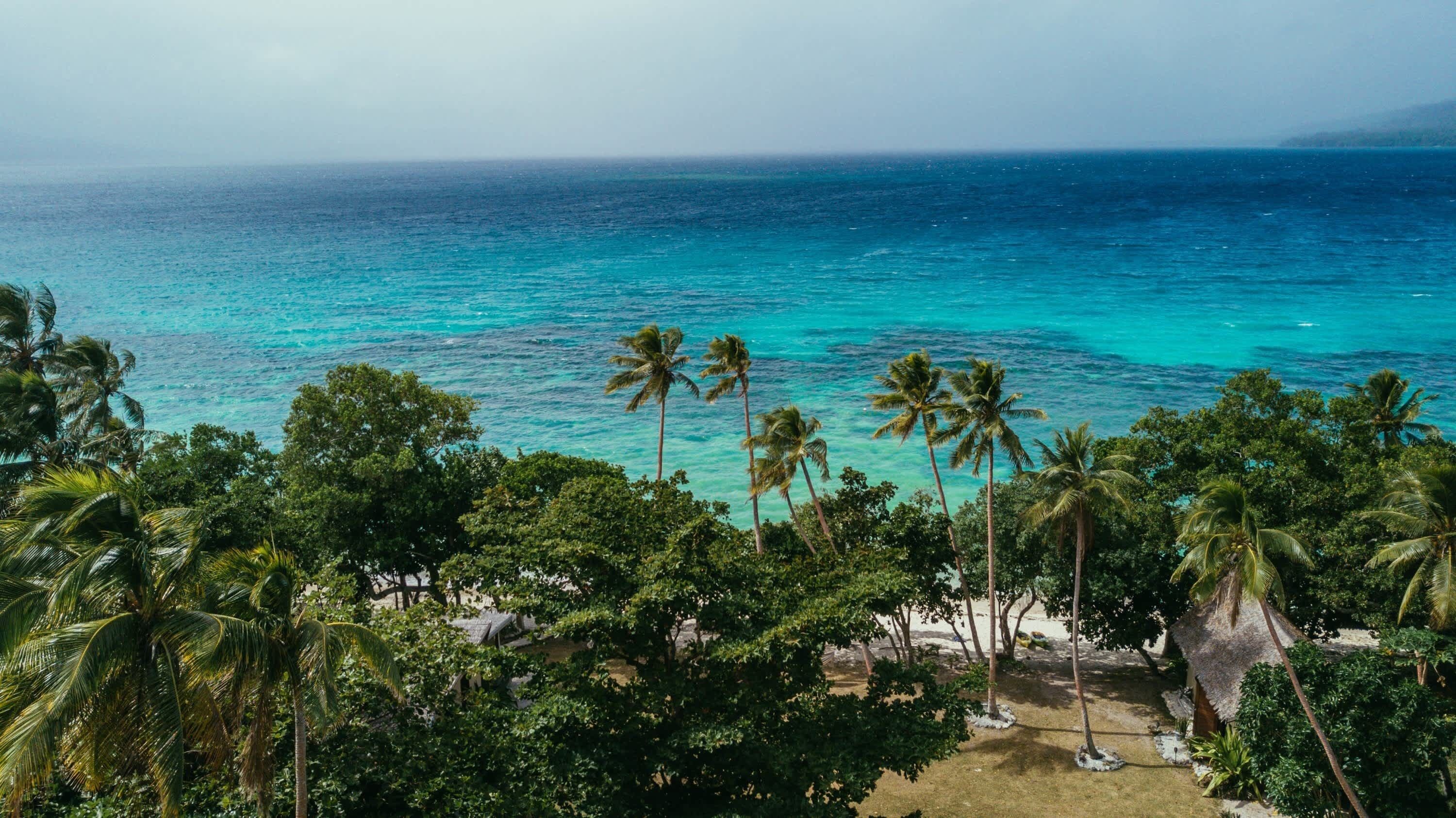 Une plage tropicale aux eaux turquoise et limpides, bordée de palmiers et abritant une petite cabane à toit de chaume.