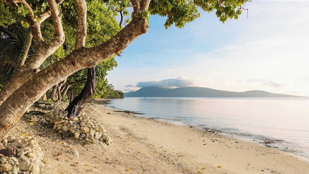 A beach with a large tree trunk, a rocky area, and a calm sea. - Whispering Palms Deluxe Villa - Absolute Beachfront (Siviri)