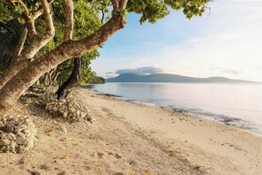 A beach with a large tree trunk, a rocky area, and a calm sea. - Whispering Palms Deluxe Villa - Absolute Beachfront (Siviri)