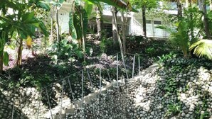 A garden area with a stone wall, various plants, and a white building in the background. - In the gated community of Mar-A-Mar, walking distance from La Lora famous surf break and nicest white sand beach, the home counts with 3 bedrooms, 2 bathrooms, nice living room with open space kitchen & terraces. 24/7 security and shared pool. (Playa Santa Teresa de Cobano)