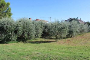 Property grounds - Spacious 7BR Villa Ideal for 13, No Pets, Triple Bathrooms (Ližnjan)