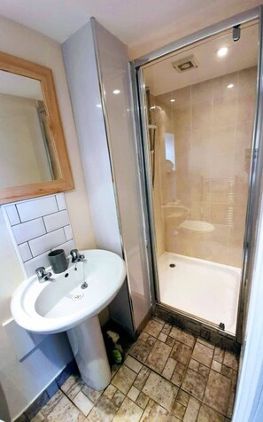 シャワー、ヘアドライヤー、タオル、トイレットペーパー