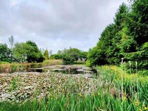 Property grounds - Rural romantic getaway for two. (Neath)