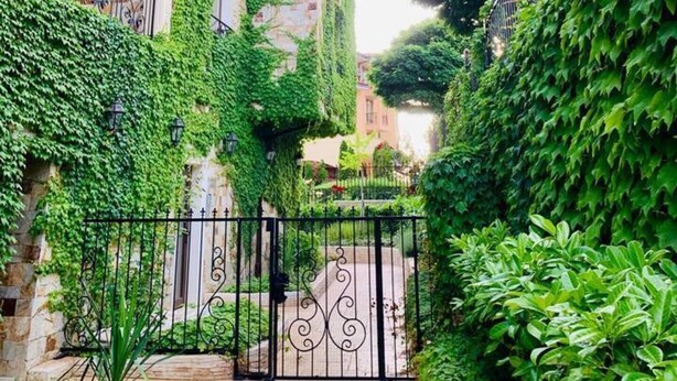 A narrow pathway flanked by lush greenery and a building with a stone facade. - New Modern Studio - Artur, Sveti Vlas - Apartello (Sveti Vlas)