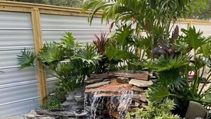 Una pequeña piscina exterior con una cascada, rodeada de plantas y rocas.