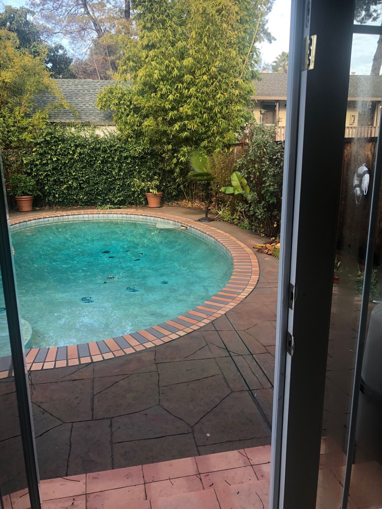 A swimming pool with a tiled edge, surrounded by a brick patio, and a view of a residential area with trees and a fence.