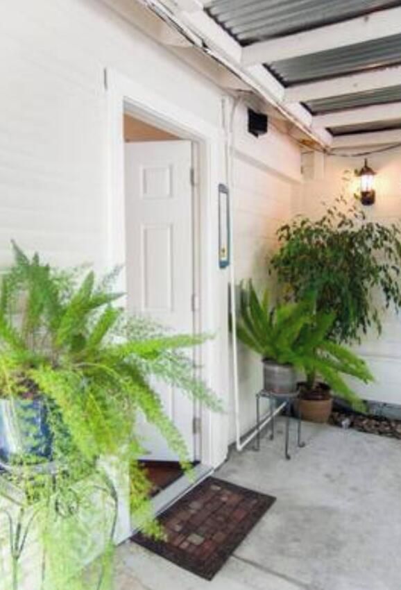 A front entryway with a white door, potted plants, and a small rug.