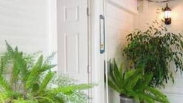 A front entryway with a white door, potted plants, and a small rug.