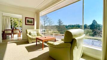 TV, fireplace, DVD player